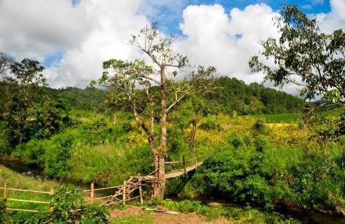 Huai Makhuea Som House | Budget-Friendly Mong Homestay Resort with Breakfast Included