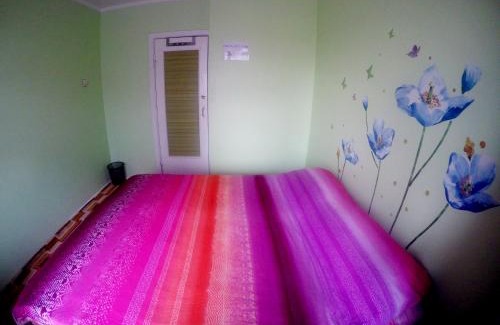 Downtown Ulaanbaatar Apartment | Discover Mongolian Vision Tours: Family-Friendly Stay Awaits