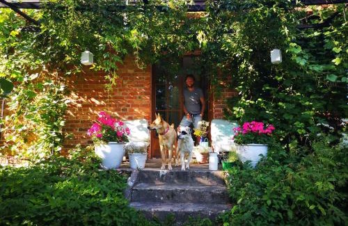 Jonkowo House | Pet-Friendly Getaway at Moniówka - Rated 9.3 by Guests