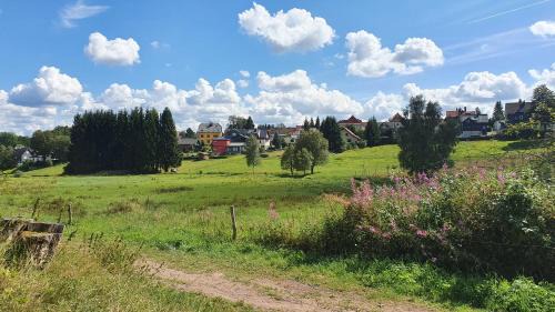 Schmiedefeld am Rennsteig Apartment | Discover Monis Comfortable Oceanfront Holiday Rentals