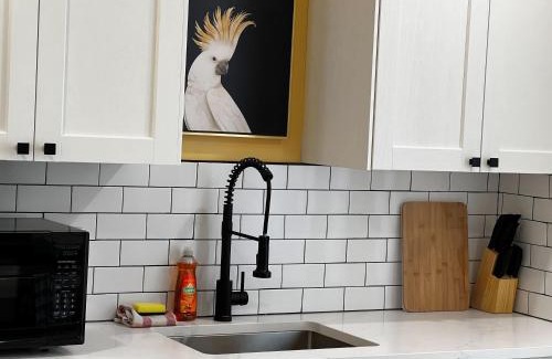 Downtown Apartment | Explore Monkey Jungle: Vibrant 2-BDRM with Rooftop Access
