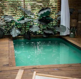 Bocas del Toro House | Enjoy a Private Pool at Monkey Tiny House - Rated 9.4/10