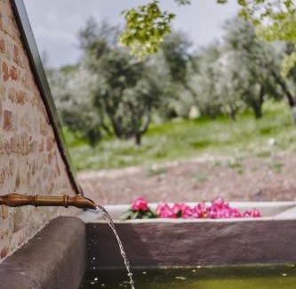 Fermo House | Enchanting Monna Terra B&B: Oceanfront Retreat with Spa