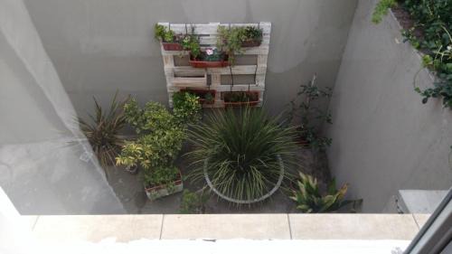 Pigue Apartment | Budget-Friendly Monoambiente Centrico Pihue - Child Friendly