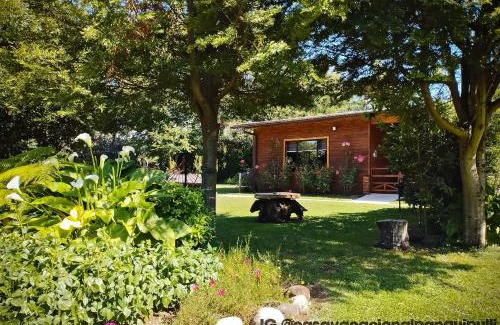 Panguipulli Apartment | Cozy Monoambiente Panguipulli - Guest Rated 9.9/10