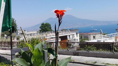 Naples Apartment | Family-Friendly Apartments in Napoli, Italy - Rated 9.3/10