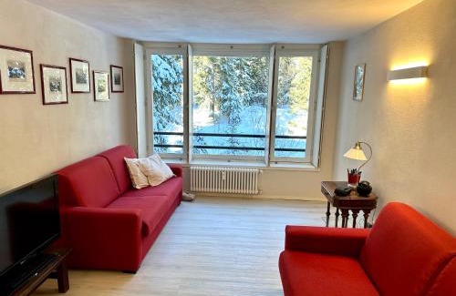 Campo Carlo Magno Apartment | Pet-Friendly Monolocale Cristallo - Guest Rated 9/10