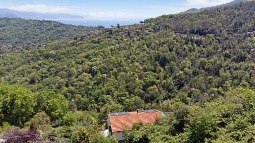 Ruta Apartment | Pet-Friendly Monolocale Fattorialmare Gialla Awaits You