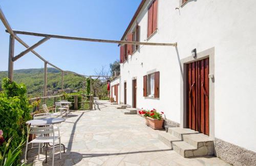 Ruta Apartment | Pet-Friendly Monolocale Fattorialmare Gialla Awaits You