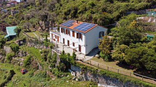 Ruta Apartment | Pet-Friendly Escape at Monolocale Fattorialmare Viola