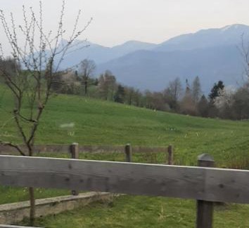 Lavarone Apartment | Cozy Monolocale Lavarone: Your Ideal Getaway Spot