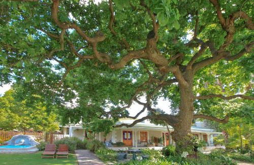 Montagu Bed & Breakfast | Experience Montagu Vines Guesthouse with Oceanfront Views