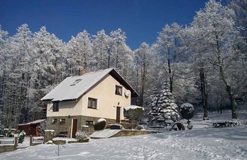 Jachymov Cottage | Idyllic Mountain Retreat in the Forest with Spa & Lake View