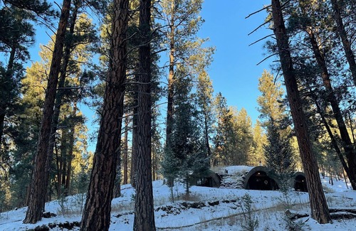 Clancy House | Discover the Unique Montana Hobbit House - Pet Friendly Stay!