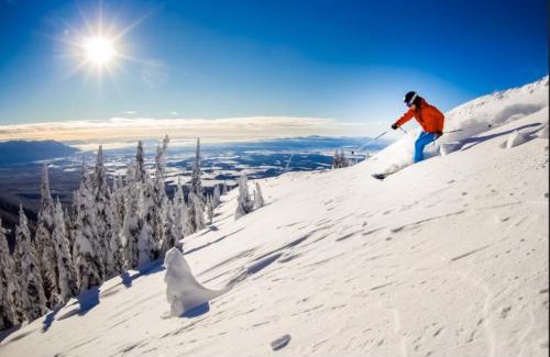 Polson Apartment | Memorable Montana Getaway: Pet & Child Friendly Retreat
