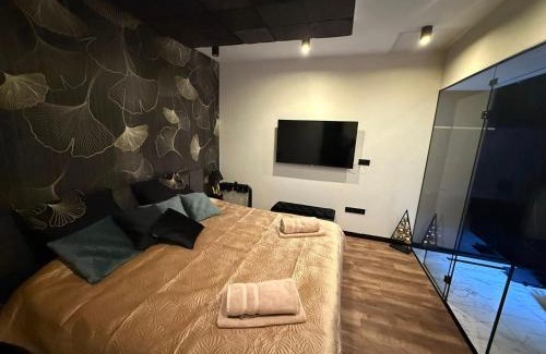Biatorbagy Apartment | Relax at MONTANA Wellness Apartman with Oceanfront Spa