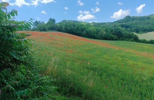 Monterenzio House | Discover Monte Bibele: Family-Friendly & Accessible Retreat