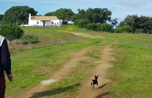Melides Cabin | Relax at Monte da Belavista - Pet Friendly with Pool