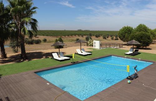 Ferreira do Alentejo House | Monte da Figueira Brava