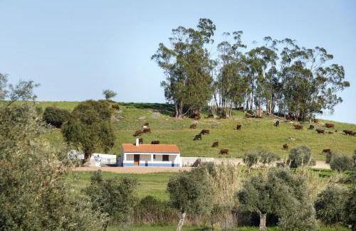 Borba House | Monte de Matacães