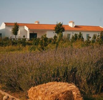 Sao Mancos House | Unforgettable Stays at Monte de Palma: 4-Star Pet-Friendly Retreat