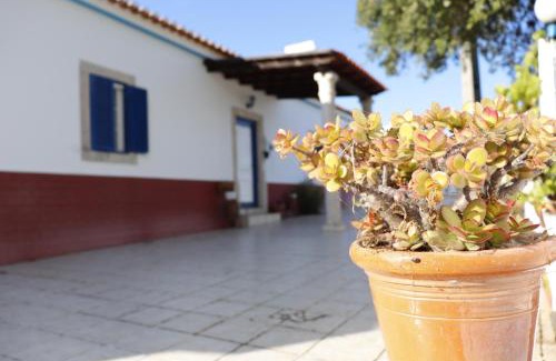 Santa Cruz House | Monte do Parral: Oceanfront Retreat with Family-Friendly Perks