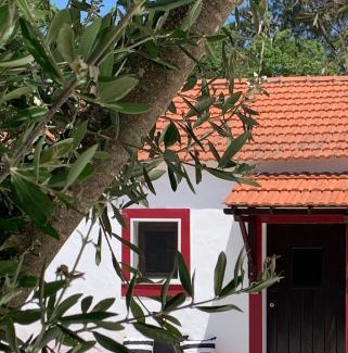 Santiago do Cacem House | Beachfront Retreat at Monte do Pereiro - Rated 9.6/10!