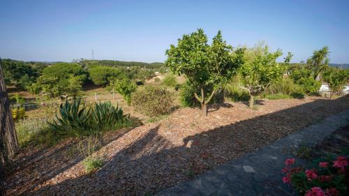 Sao Luis Ski Chalet | Monte dos Casarões Casa grande