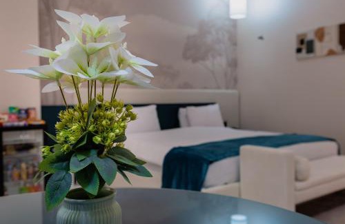 Nasimi Hotel | Monte Napoleone Hotel