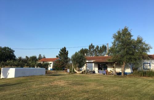 Odemira House | Experience Monte Novo do Corujo: Pet-Friendly Retreat