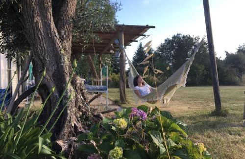 Odemira House | Experience Monte Novo do Corujo: Pet-Friendly Retreat