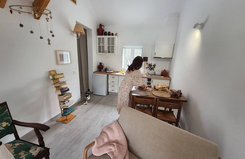 Santiago do Escoural Other | Experience Monte Típico Alentejano with Pool & Family Amenities