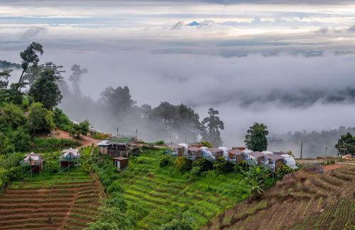 Mae Rim Other | Family-Friendly Monteadeo Camping with On-Site Dining