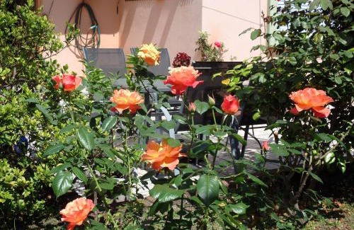 Montevideo Department Apartment | Pet-Friendly Montelife: Guest Rated 9.6/10 for Families