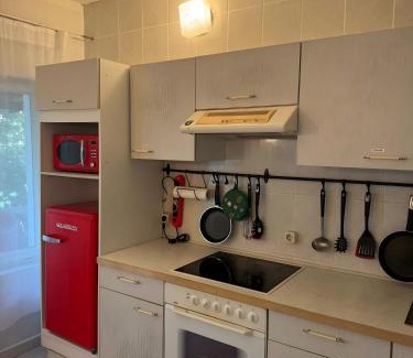 Steffin Apartment | Monteurswohnung Rothentor4