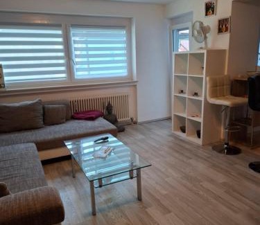 Heilbronn Apartment | Pet-Friendly Monteurswohnung with Exceptional 8.9/10 Rating