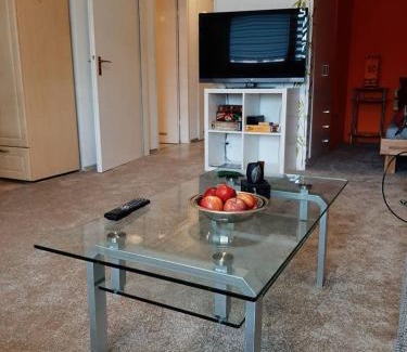 Heilbronn Apartment | Pet-Friendly Monteurswohnung with Exceptional 8.9/10 Rating