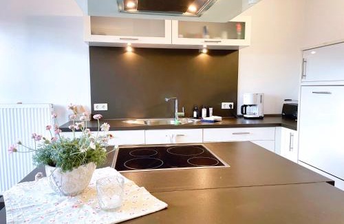 Ibbenbueren Apartment | Ideal Monteurwohnung Korte: Teams, Smart TV & Garden Access