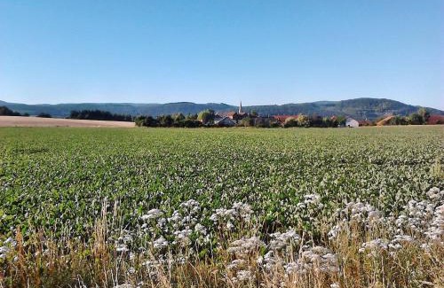 Langelsheim Apartment | Family-Friendly Apartment 2 in Langelsheim Harz