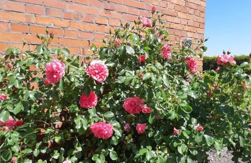 Bunde House | Pet and Child Friendly Stay at Monteurzimmer Ausma Wymeer