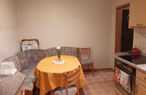 Haida Apartment | Pet-Friendly Monteurzimmer Röderland with Family Amenities