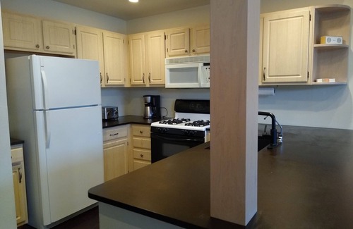Steamboat Springs House | Monthly - Comfy Pet Friendly Townhome between Town and Mountain