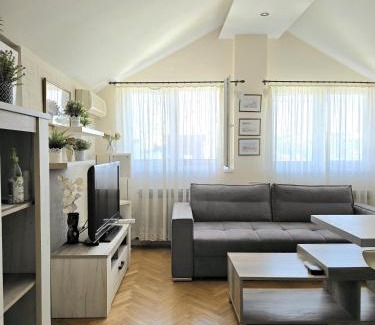 Vukov Spomenik Apartment | Pet-Friendly Monument to Vuk Apartment - Top Rated 10/10