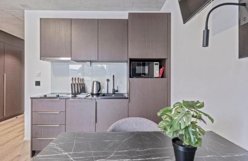 St. Gallen Apartment | Discover MOOI Apartments St.Gallen - Pet Friendly Retreat