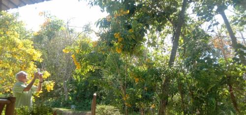 Ko Mook Cabin | Discover Koh Mook Bamboo Bungalows with Ocean Views