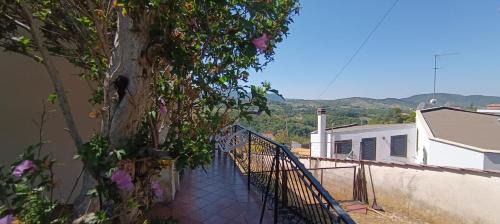 Poggio Moiano Bed & Breakfast | Discover Moon Ash - Pet-Friendly Retreat for Families