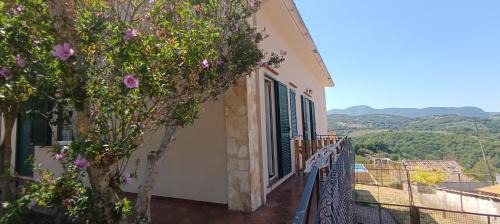 Poggio Moiano Bed & Breakfast | Discover Moon Ash - Pet-Friendly Retreat for Families