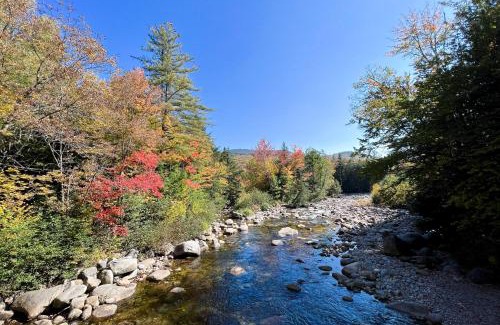 Lincoln Apartment | Experience Moon River Lodge: 4-Star Retreat with Pool & Hot Tub