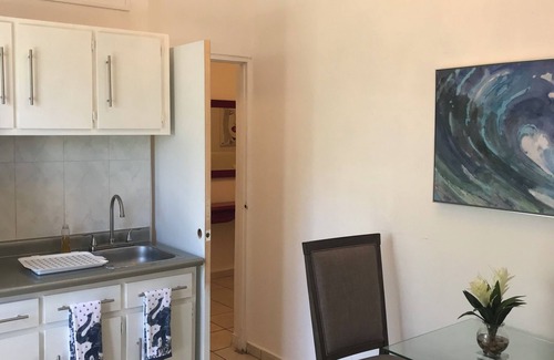 Eleanor Roosevelt Apartment | Moon Roosevelt Downtown local-urban humble area 1-bedroom apartment in San Juan