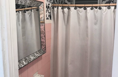 Eleanor Roosevelt Apartment | Moon Roosevelt Downtown local-urban humble area 1-bedroom apartment in San Juan